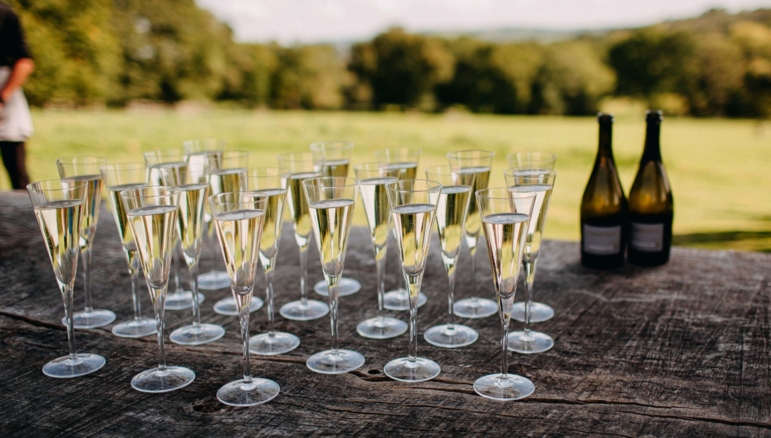 Outdoor wedding at Bignor Park with Champagne glasses detail on the old tree table on the South Lawn