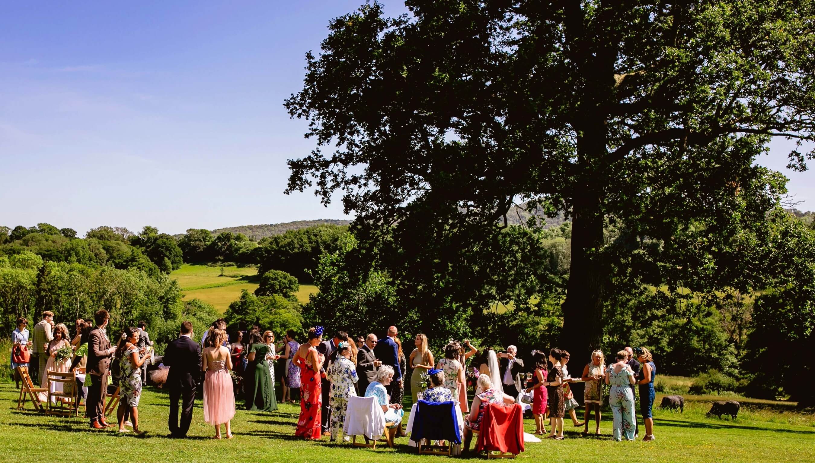 Wedding guests gathered on South Lawn at Bignor Park with panoramic countryside views and mature trees