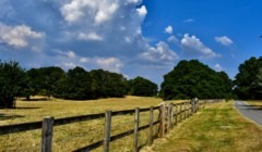 Scenic countryside drive and fields at Bignor Park West Sussex showcasing rural setting for exclusive wedding venue