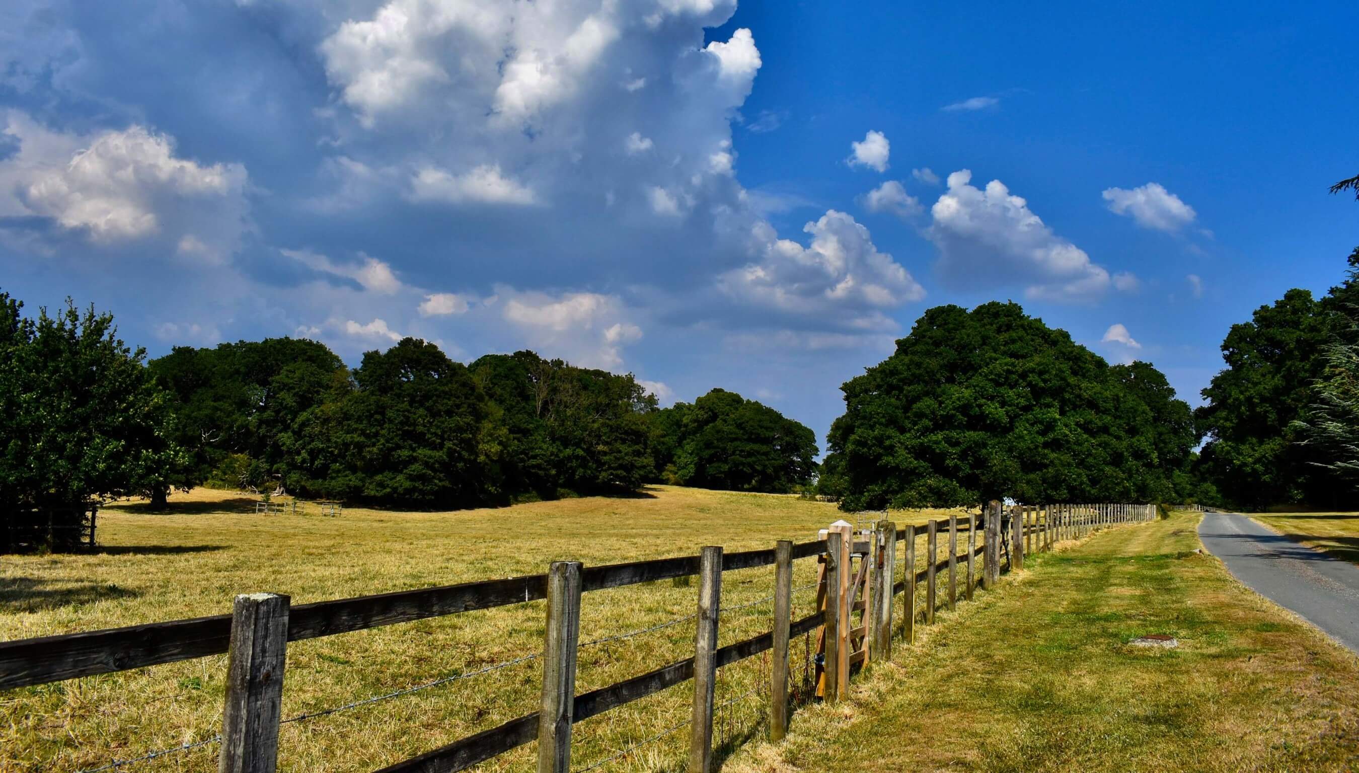 Scenic countryside drive and fields at Bignor Park West Sussex showcasing rural setting for exclusive wedding venue