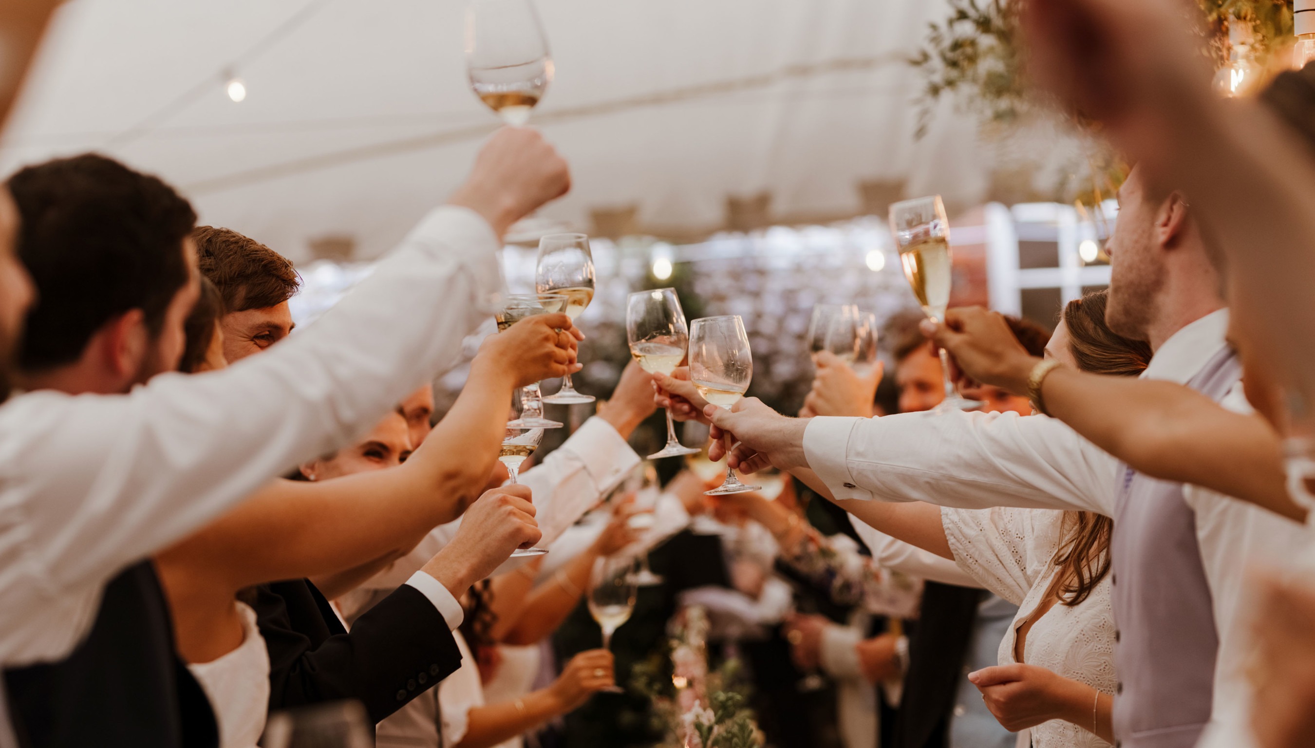 Wedding guest raising their glasses after speech whilst at outdoor wedding in marquee at Bignor Park West Sussex