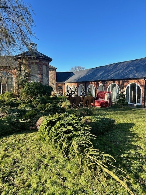 Christmas trees for sale laying on the lawn of The Bignor Park estate